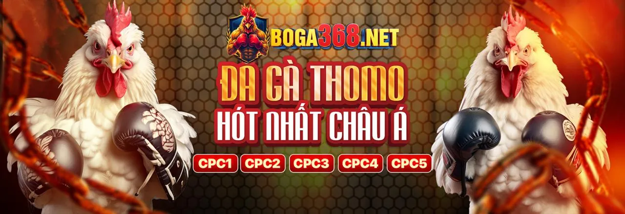 Sòng bạc trực tiếp với người chia bài thật tại Vu88